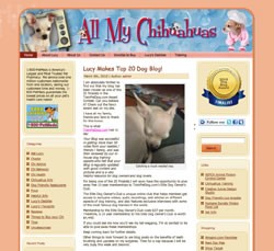 All My Chihuahuas