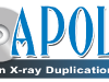 Apollo Logo